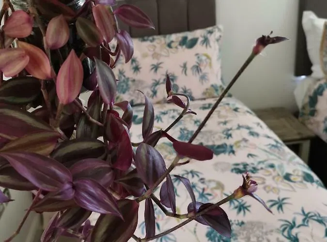 Сasa de vacaciones Three Peaks View Bd23 4sp Wigglesworth