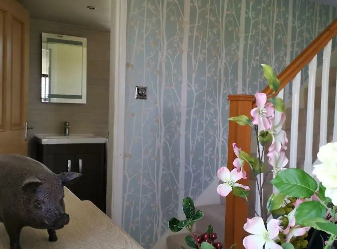 Three Peaks View Bd23 4sp Wigglesworth